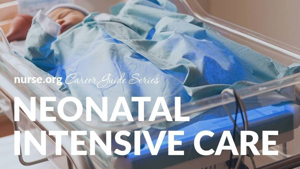 Neonatal Intensive Care Unit (NICU) Nurse Career Guide