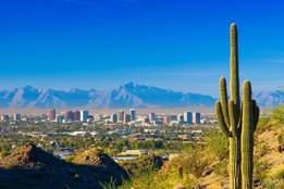 Cactus in desert with Arizona city skyline in background
