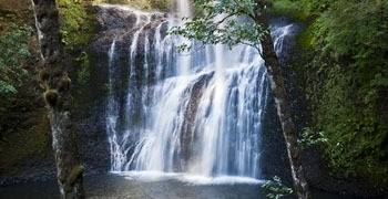 Waterfall splashing into forest lake in Oregon