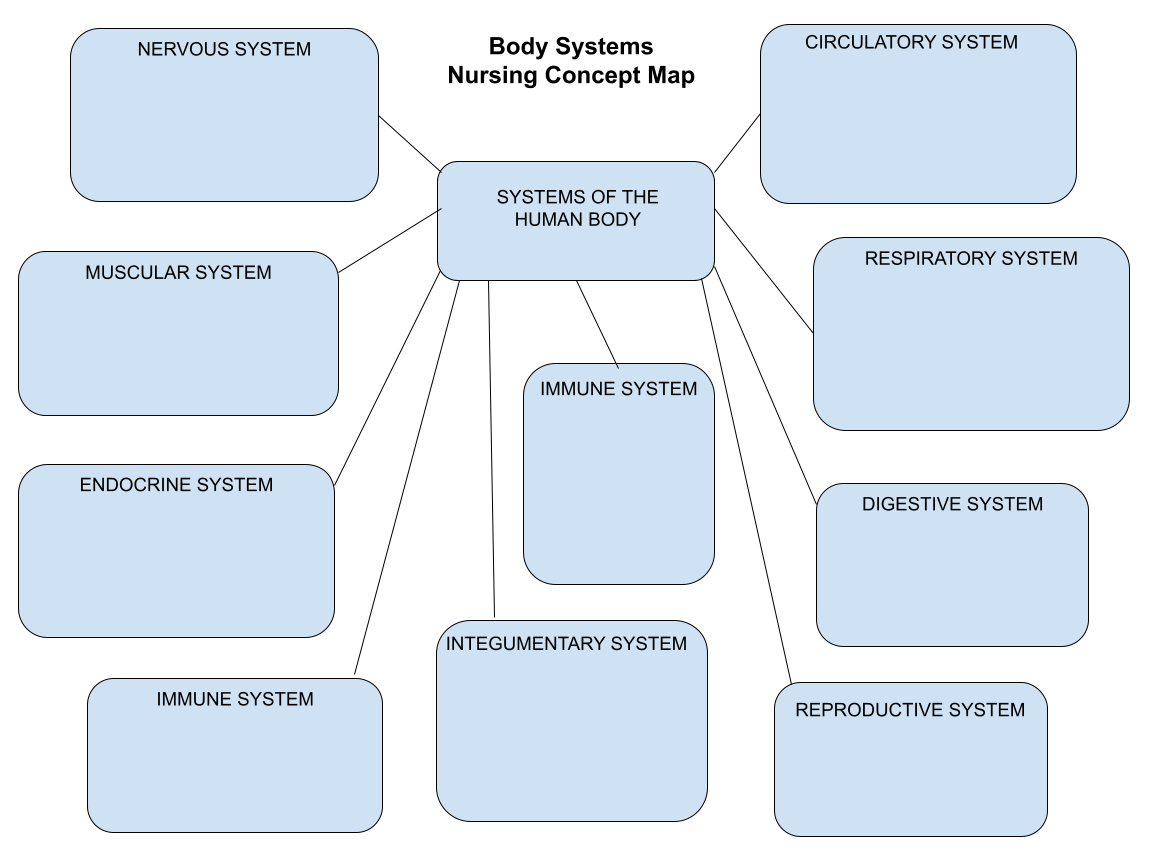 Body system nursing concept map template